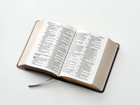 Image of BIBLIA RVR 1960 LETRA GRANDE TAMANO MANUAL BICOLOR CAFE CAFE SIMIL PIEL