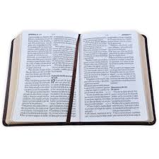 Image of BIBLIA RVR 1960 LETRA GRANDE TAMANO MANUAL NEOCLASSIC CAFE OSCURO SIMIL PIEL
