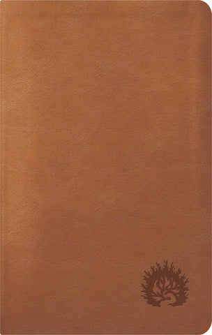 Image of Biblia NBLA de Estudio de La Reforma Edición Condensada Marrón Claro