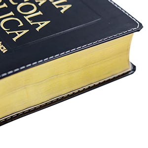 BIBLIA EM PORTUGUES DA ESCOLA BIBLICA CAPA PRETA