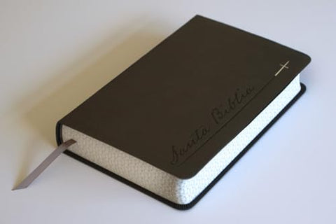 Image of BIBLIA RVR 1960 LETRA GIGANTE GRIS SIMIL PIEL