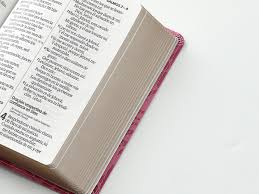 Image of BIBLIA RVR 1960 LETRA GRANDE TAMANO MANUAL BICOLOR ROSA ROSA SIMIL PIEL