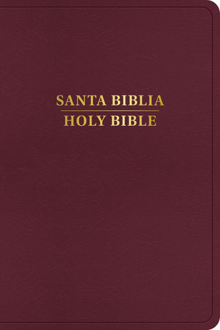 Image of Biblia RVR 1960 KJV Bilingüe Borgoña Símil Piel