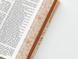 Image of BIBLIA RVR 1960 LETRA GRANDETAMANO MANUAL TAPA DURA PRIMAVERA CORAL TAPA DURA