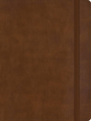Biblia RVR 1960 de Apuntes Tamaño Manual Café Símil Piel