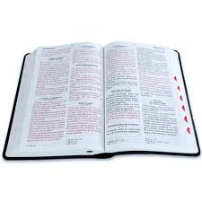 Image of BIBLIA RVR 1960 TAMANO MANUAL LETRA GRANDE COLECCION SUPREME CORDERO Y LEON SIMIL PIEL