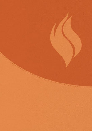 BIBLIA DE ESTUDIO VIDA PLENA AMPLIADA Y ACTUALIZADA SIMIL PIEL MARRON