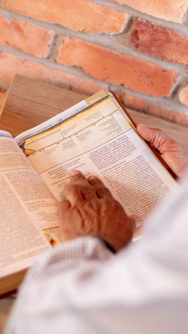 Image of BIBLIA NBLA CRONOLOGICA DE ESTUDIO
