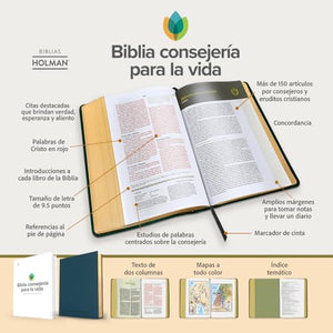 Biblia RVR 1960 Consejería para La Vida Azul Pizarra Símil Piel