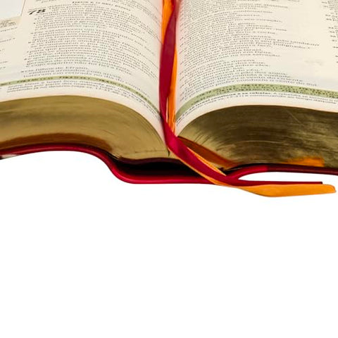 Image of BIBLIA EM PORTUGUES NAA DE ESTUDO IGREJA PRIMITIVA