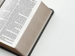 Image of BIBLIA RVR 1960 LETRA GRANDE TAMANO MANUAL BICOLOR NEGRO GRIS SIMIL PIEL