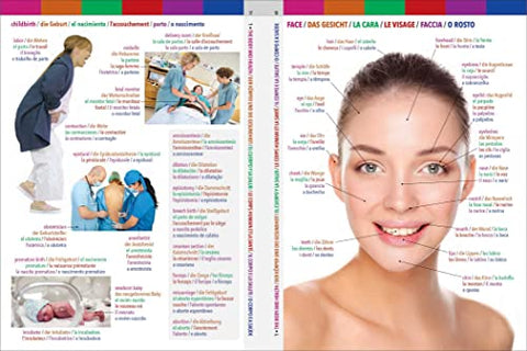 Image of 6-Language Visual Dictionary