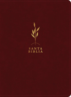 Biblia RVR 1960 de Estudio del Diario Vivir Letra Grande Símil Piel Vino Tinto Índice Letra Roja