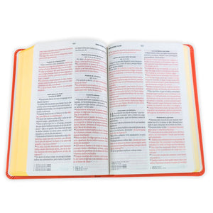 BIBLIA RVR 1960 TAMANO MANUAL LETRA GRANDE 12 PT SIMIL PIEL LILA MORADO CON CIERRE BITONO