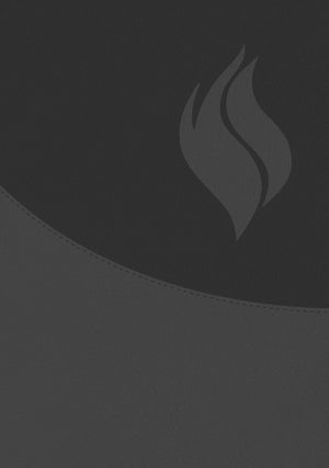 BIBLIA DE ESTUDIO VIDA PLENA AMPLIADA Y ACTUALIZADA SIMIL PIEL NEGRO