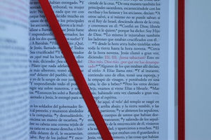 BIBLIA RVR 1960 PARA REGALOS Y PREMIOS ROJO CON SOPA DE LETRAS