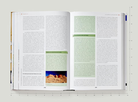 Image of NUEVO TESTAMENTO EN LA ANTIGUEDAD: UN ESTUDIO DEL NUEVO TESTAMENTO EN SU CONTEXTO CULTURAL