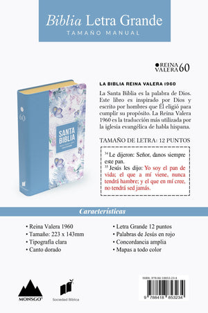 Biblia RVR 1960 Letra Grande Tamaño Manual Símil Piel Azul Acero Claro