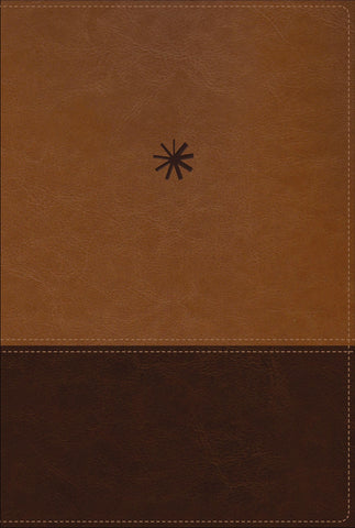 Image of BIBLIA NBLA CRONOLOGICA DE ESTUDIO