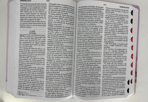 Image of BIBLIA RVR 1960 LETRA GRANDE MAMUAL ROSA FLORES INDICE