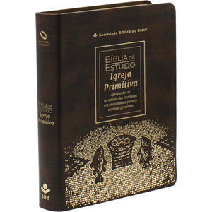 BIBLIA EM PORTUGUES NAA DE ESTUDO IGREJA PRIMITIVA