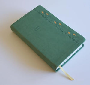 BIBLIA RVR 1960 LETRA GIGANTE SIMIL PIEL VERDE CON PAJAROS CANTOS PINTADOS