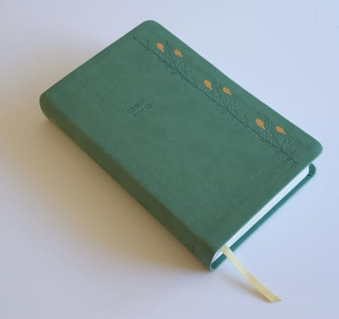 Image of BIBLIA RVR 1960 LETRA GIGANTE SIMIL PIEL VERDE CON PAJAROS CANTOS PINTADOS