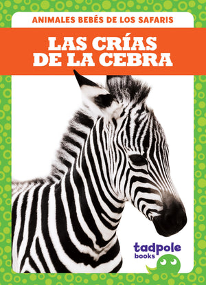 LAS CRIAS DE LA CEBRA