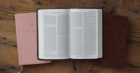 Image of ESV PREMIUM CHURCH BIBLE (TRUTONE, BROWN)