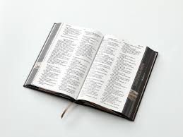 Image of BIBLIA RVR 1960 TAMANO MANUAL LETRA GRANDE TAPA DURA LEON DE JUDA TAPA DURA