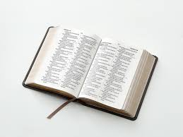 Image of BIBLIA RVR 1960 LETRA GRANDE TAMANO MANUAL NEOCLASSIC MOKKA SIMIL PIEL