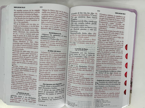 Image of BIBLIA RVR 1960 LETRA GRANDE MAMUAL ROSA FLORES INDICE