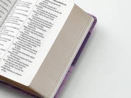 Image of BIBLIA RVR 1960 LETRA GRANDE TAMANO MANUAL BICOLOR LILA LILA SIMIL PIEL