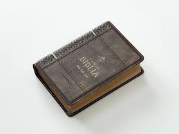 Image of BIBLIA RVR 1960 LETRA GRANDE TAMANO MANUAL NEOCLASSIC MOKKA SIMIL PIEL