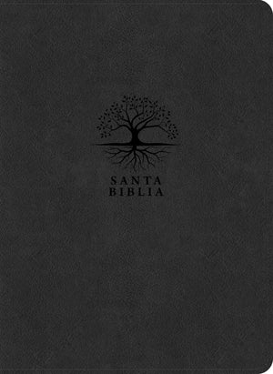 Biblia RVR 1960 de Estudio del Diario Vivir Letra Grande Símil Piel Carbón Índice Letra Roja