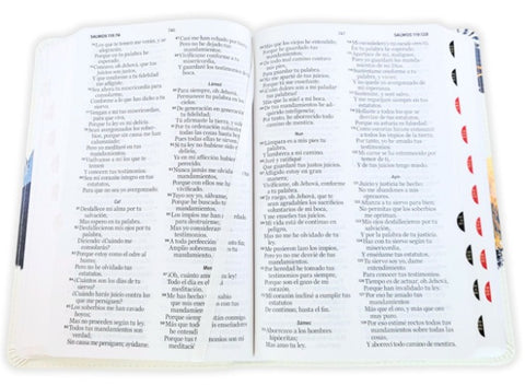 Image of BIBLIA RVR 1960 TAMANO MANUAL LETRA GRANDE COLECCION SUPREME AGUILA SOBRE MONTANAS SIMIL PIEL