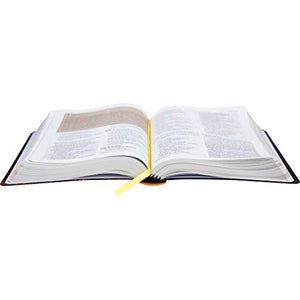 BIBLIA EM PORTUGUES NTLH061BS TAPA SEMIFLEXIBLE TODO COLOR CANTO BLANCO TACO EN DOS COLORES