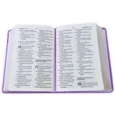 Image of BIBLIA RVR 1960 LETRA GRANDE TAMANO MANUAL NEOCLASSIC LILA SIMIL PIEL