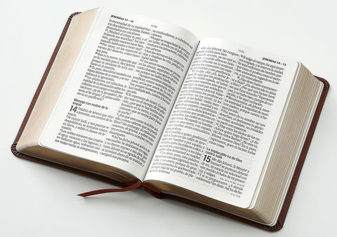 Image of BIBLIA RVR 1960 LETRA GRANDE TAMANO MANUAL NEOCLASSIC CAFE CLARO SIMIL PIEL
