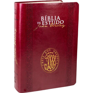 BIBLIA EM PORTUGUES NA085BEJW TAPA VINO
