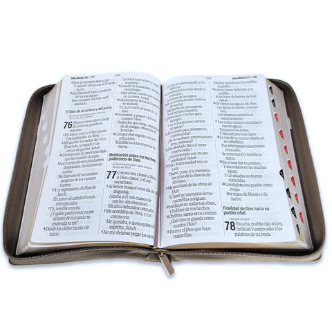 Image of BIBLIA RVR 1960 LETRA SUPER GIGANTE SIMIL PIEL CIERRE INDICE CAFE BEIGE
