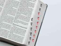 Image of BIBLIA RVR 1960 LETRA SUPER GIGANTE NEGRO GEO COLECCION EFESO CON INDICE SIMIL PIEL