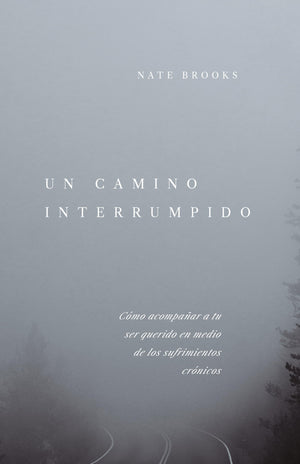 UN CAMINO INTERRUMPIDO