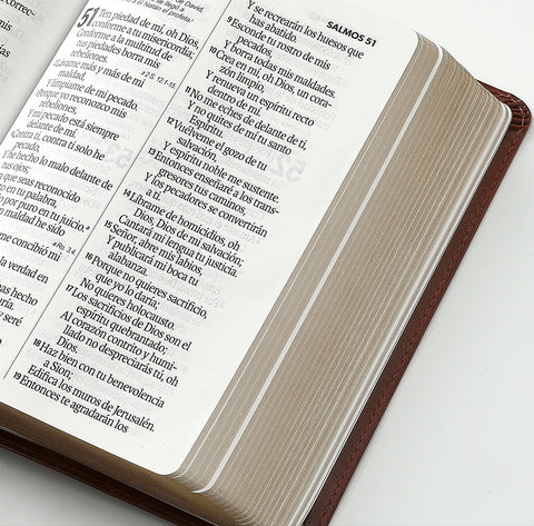 Image of BIBLIA RVR 1960 LETRA GRANDE TAMANO MANUAL NEOCLASSIC CAFE CLARO SIMIL PIEL