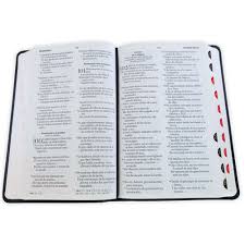 Image of BIBLIA RVR 1960 TAMANO MANUAL LETRA GRANDE COLECCION SUPREME NEGRO LEON CRUCES SIMIL PIEL