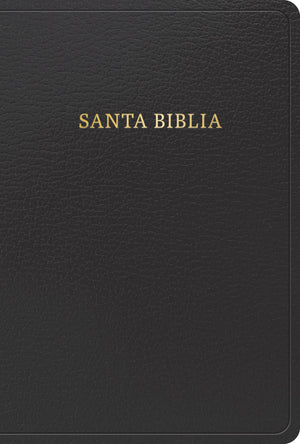 Biblia RVR 1960 Tamaño Manual Símil Piel Negra