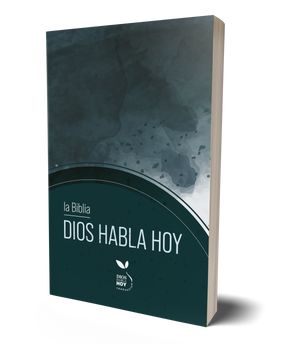 Biblia DHH Dios Habla Hoy Ultrafina Gris Símil Piel