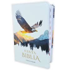 Image of BIBLIA RVR 1960 TAMANO MANUAL LETRA GRANDE COLECCION SUPREME AGUILA SOBRE MONTANAS SIMIL PIEL