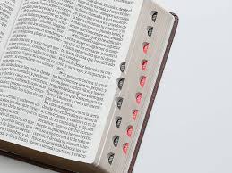 Image of BIBLIA RVR 1960 LETRA SUPER GIGANTE CAFE GEO COLECCION EFESO CON INDICE SIMIL PIEL