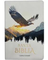 Image of BIBLIA RVR 1960 TAMANO MANUAL LETRA GRANDE COLECCION SUPREME AGUILA SOBRE MONTANAS SIMIL PIEL